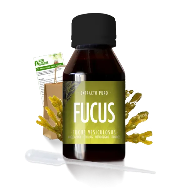 Alga Fucus