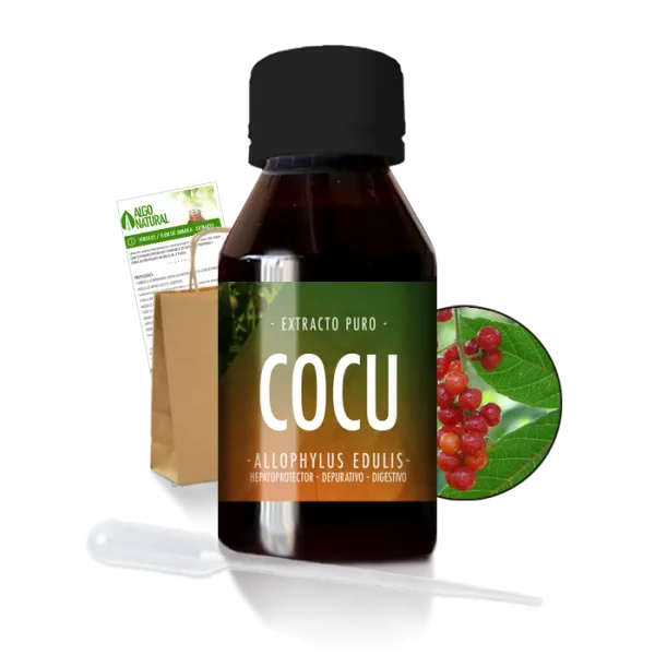 Cocu / Chal