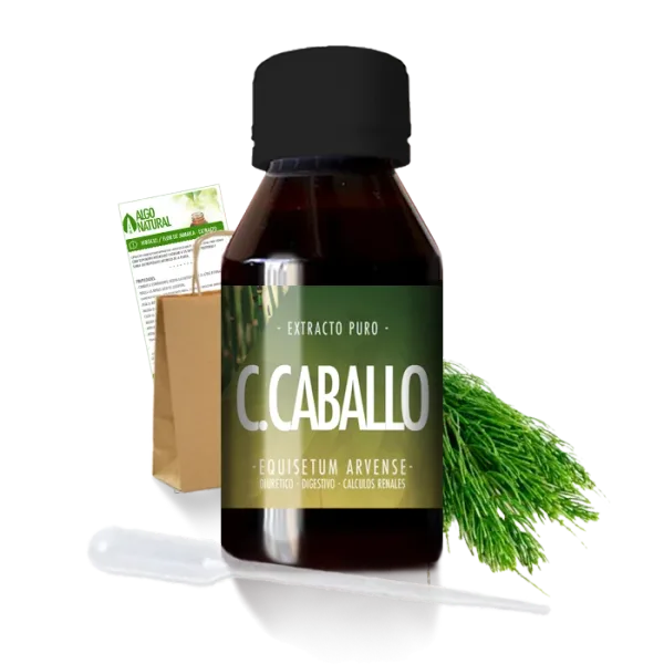Cola de Caballo