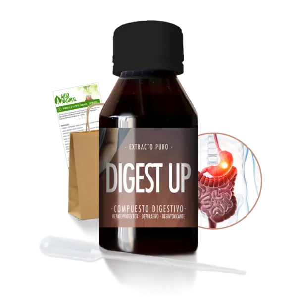 Digest Up