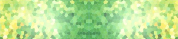 Ginkgo Biloba