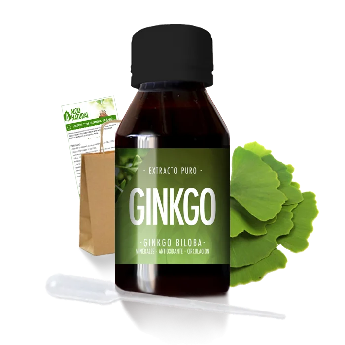 Ginkgo Biloba