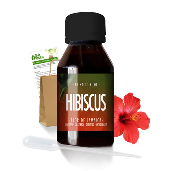 Hibiscus - Flor De Jamaica