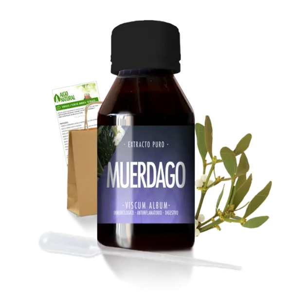 Muerdago Blanco
