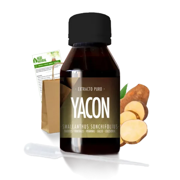 Yacon