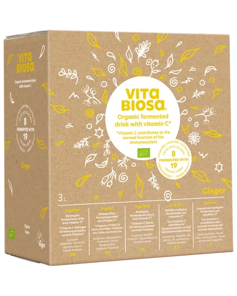 Vita Biosa Ginger 3 liter