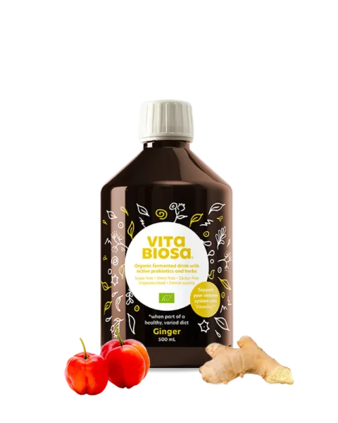 Vita Biosa Ginger 500 mL