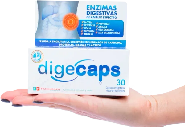 Digecaps Enzimas Digestivas