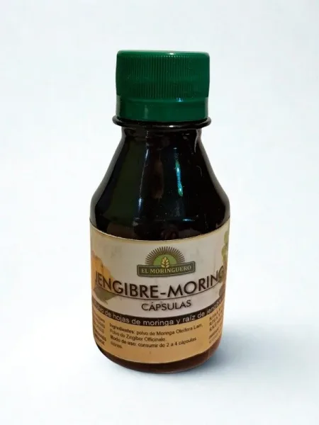Capsulas Jengibre con Moringa x 90 caps