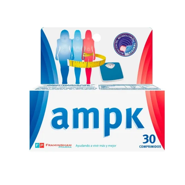 AMPK Protein