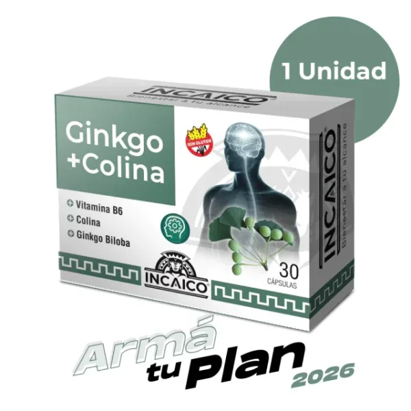 Ginkgo + Colina