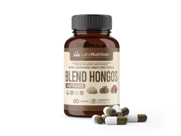 Hongos Adaptogenos