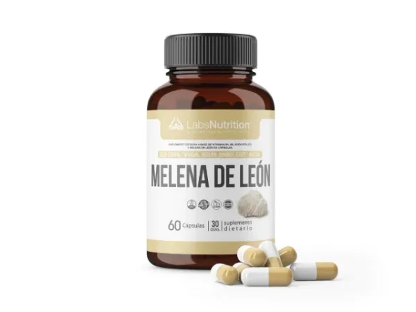 Melena de Leon pura 500 mg