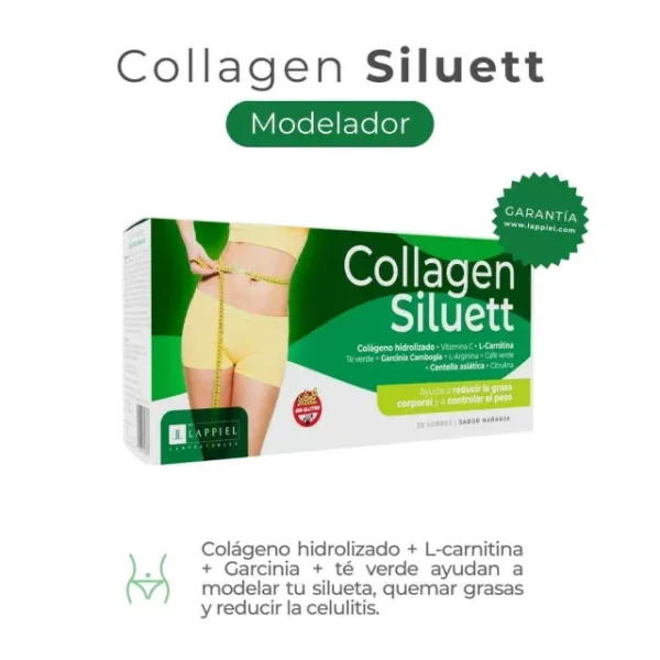 Collagen Siluett