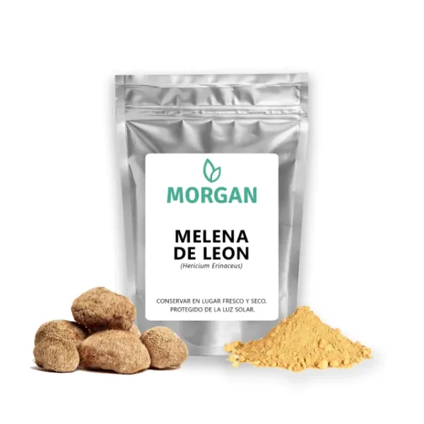 Hongo Melena De León En Polvo 100%