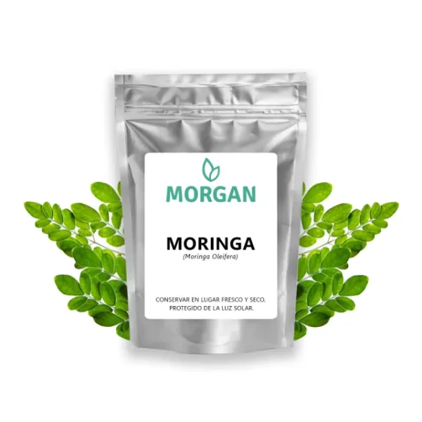 Moringa Oleifera Pura Micronizada en Polvo 100%