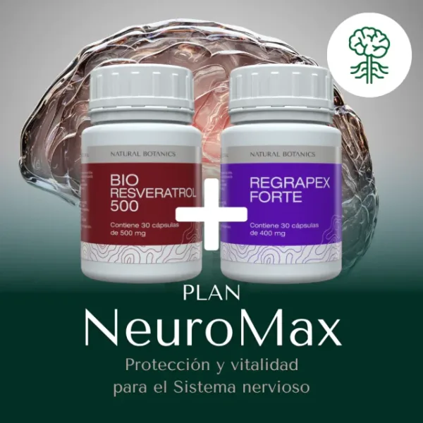Plan NeuroMax