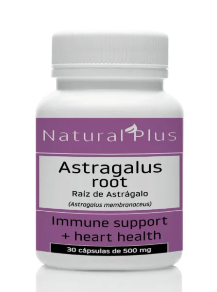 Astrágalo (Raíz De Astrágalus Membranaceus)