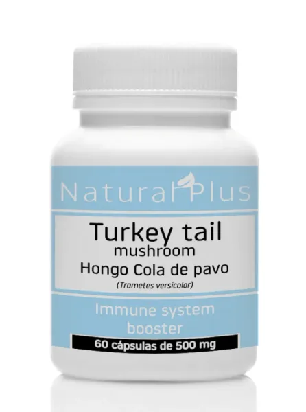 Hongo Cola de pavo (Trametes versicolor)