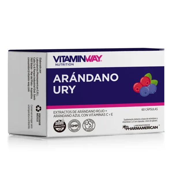 Arándano Ury X60